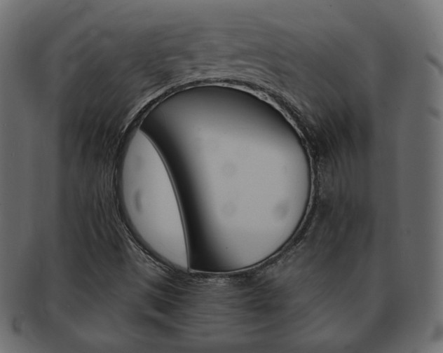 X0000093151497200709261006