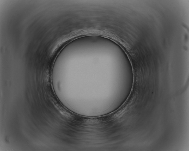 X0000093151499200709261006