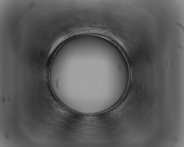 X0000093151501200709261006