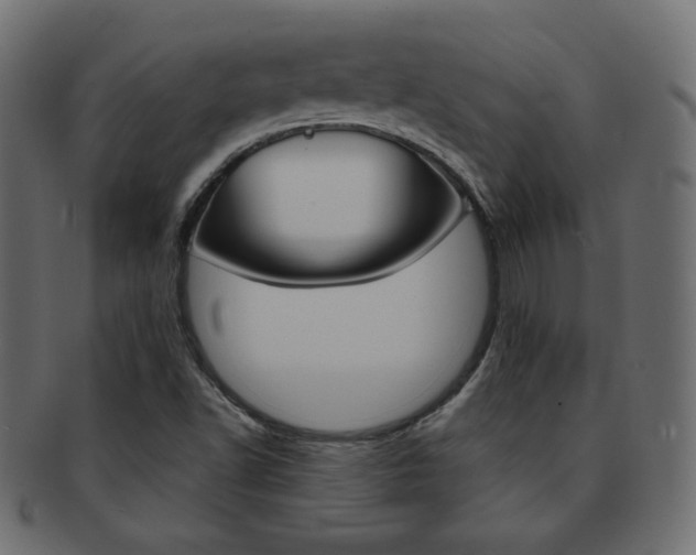 X0000093151502200709261006