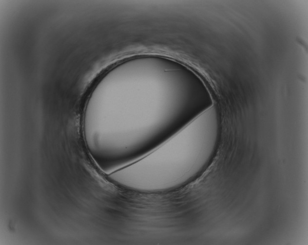 X0000093151503200709261006