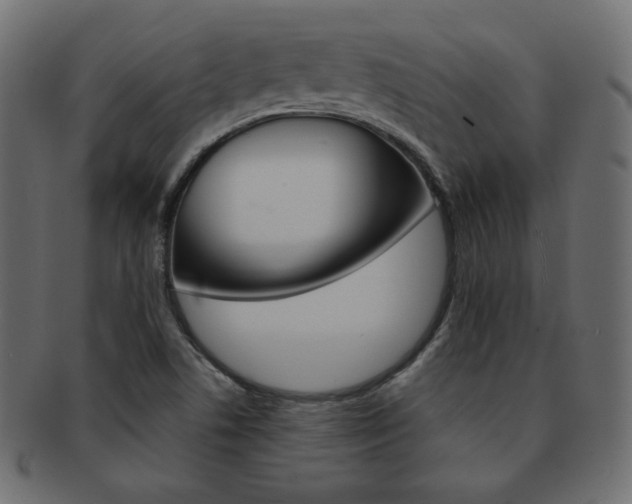 X0000093151506200709261006