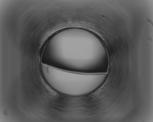 X0000093151507200709261006