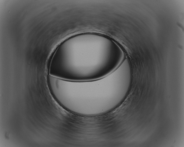 X0000093151508200709261006