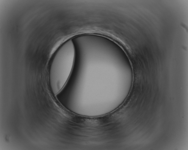 X0000093151509200709261006