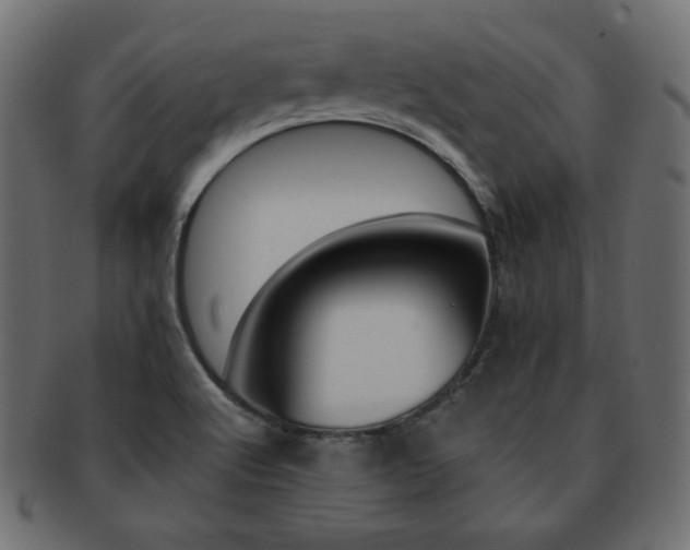 X0000093151512200709261006