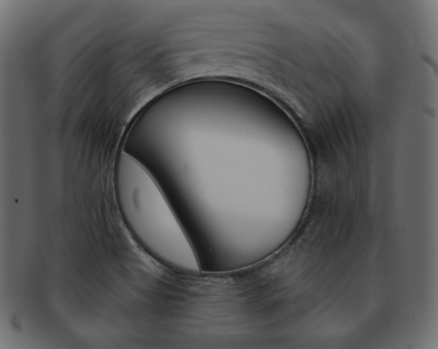 X0000093151513200709261006