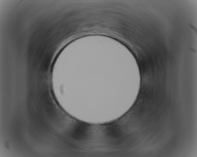 X0000093151514200709261006