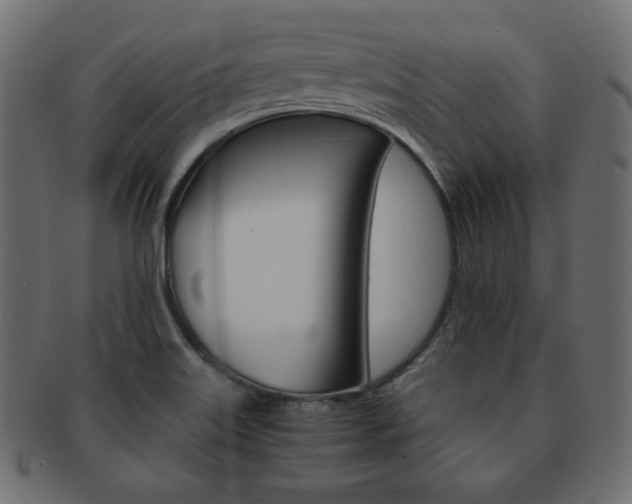 X0000093151515200709261006