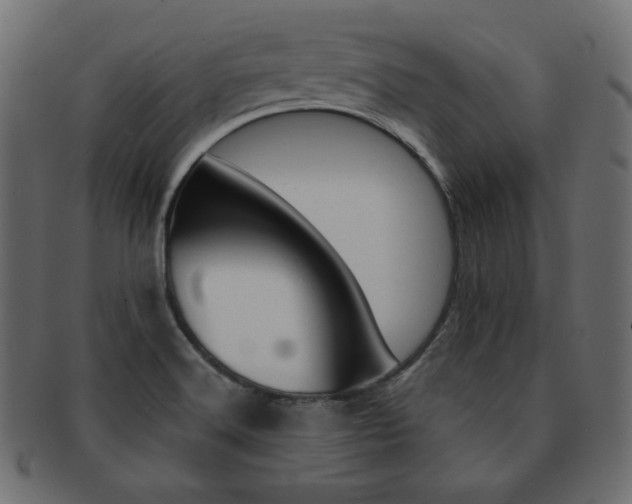 X0000093151516200709261006
