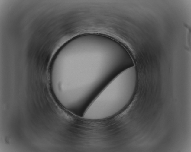 X0000093151517200709261006