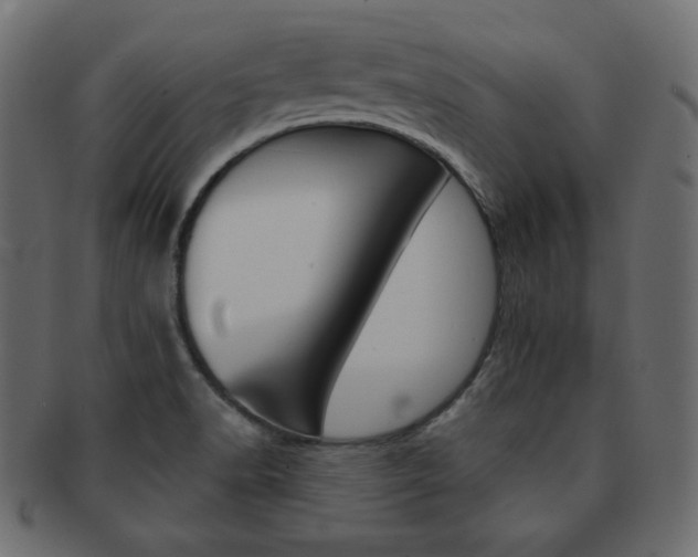 X0000093151518200709261006
