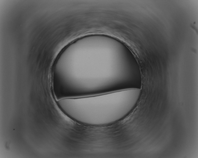 X0000093151519200709261006
