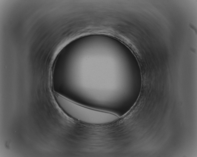 X0000093151520200709261006