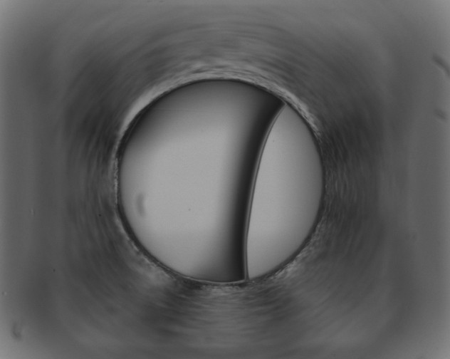 X0000093151522200709261006