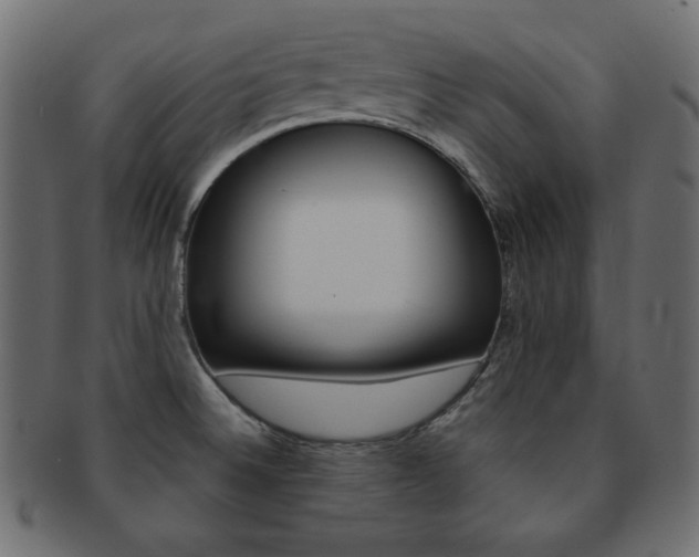 X0000093151524200709261006