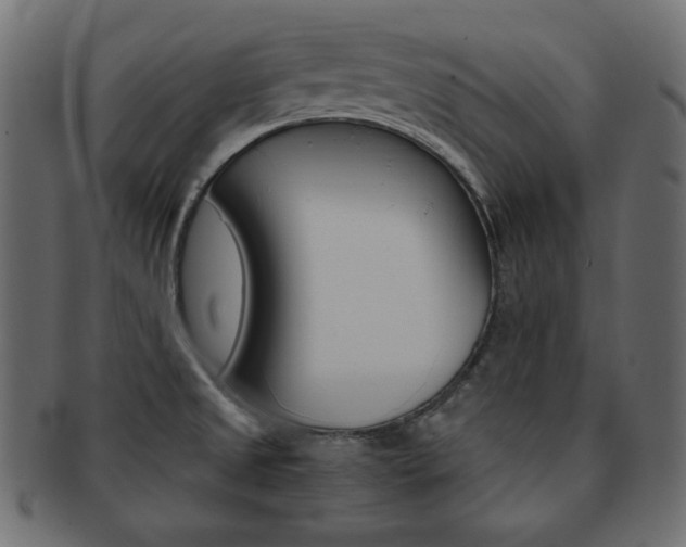 X0000093151525200709261006