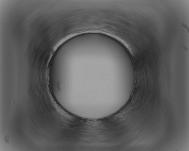 X0000093151526200709261006