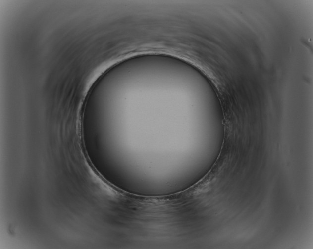 X0000093151527200709261006