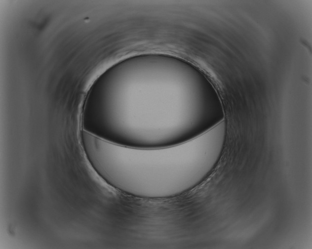 X0000093151528200709261006