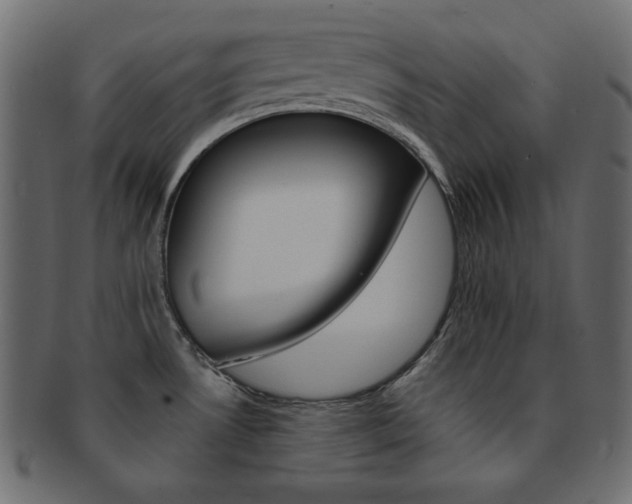 X0000093151530200709261006