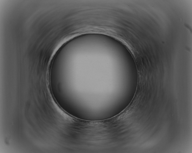 X0000093151531200709261006