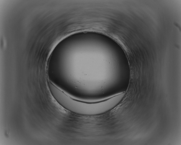 X0000093151532200709261006