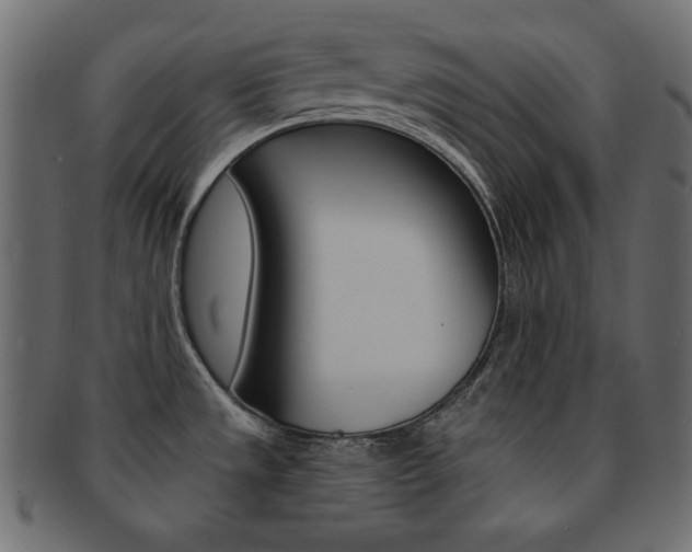 X0000093151533200709261006