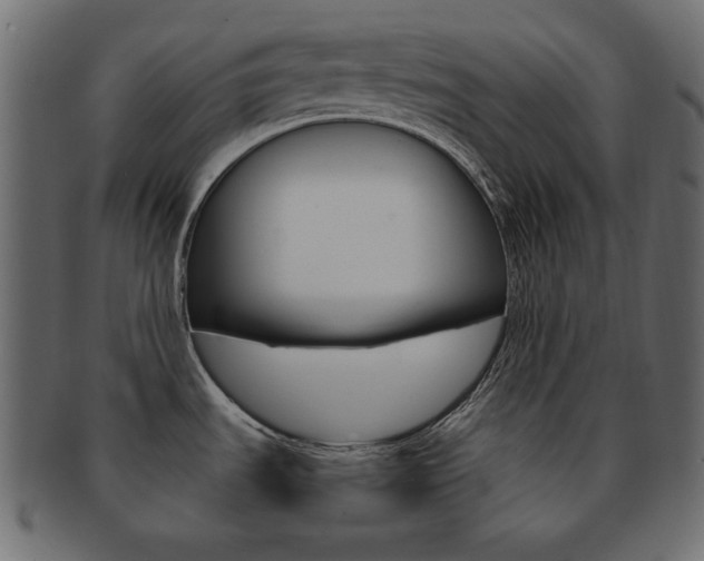 X0000093151535200709261006