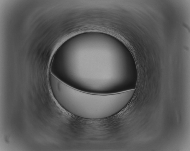 X0000093151536200709261006