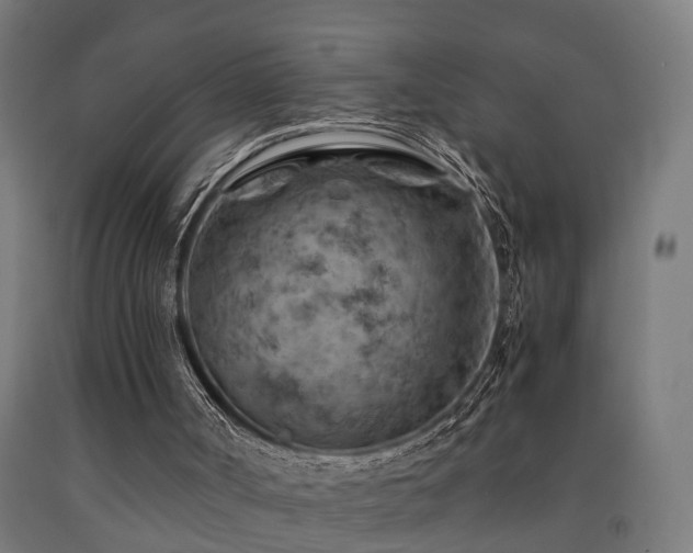 X0000093150002200709261455