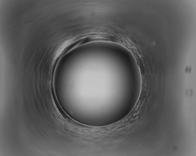 X0000093150003200709261455
