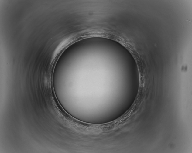 X0000093150004200709261455