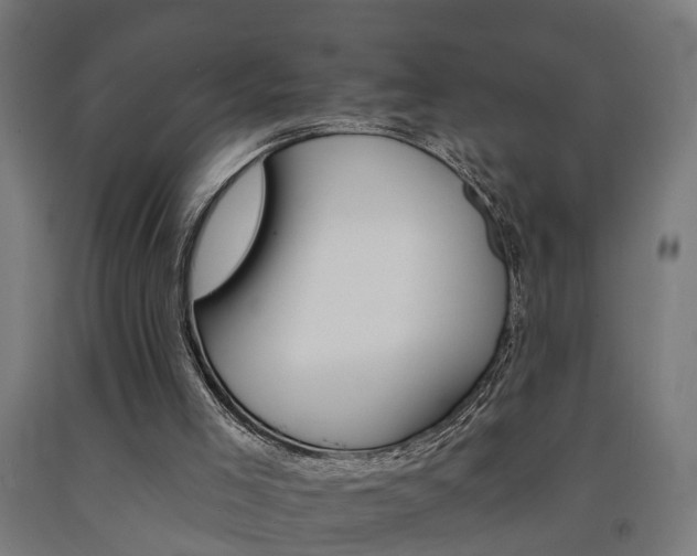 X0000093150005200709261455