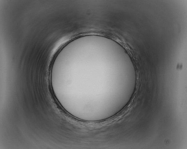 X0000093150006200709261455