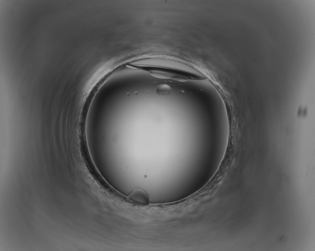 X0000093150007200709261455