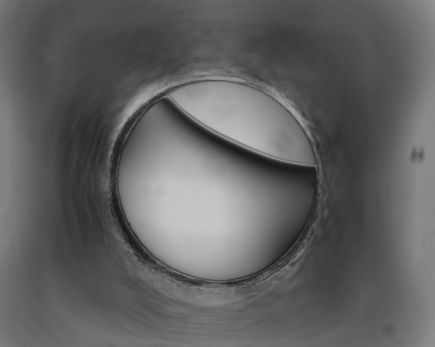 X0000093150008200709261455
