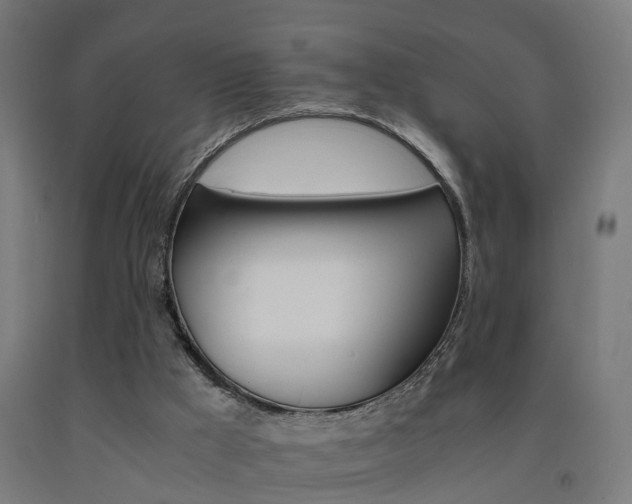 X0000093150009200709261455