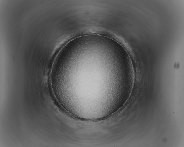 X0000093150010200709261455