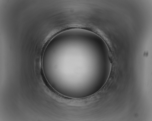 X0000093150011200709261455