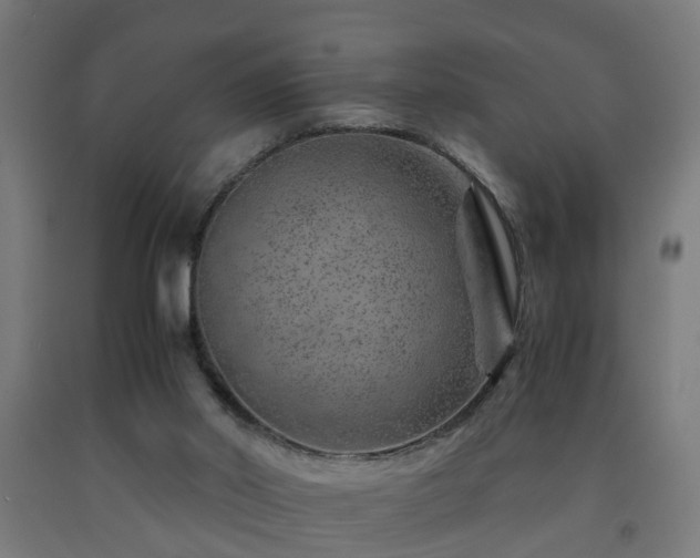 X0000093150014200709261455