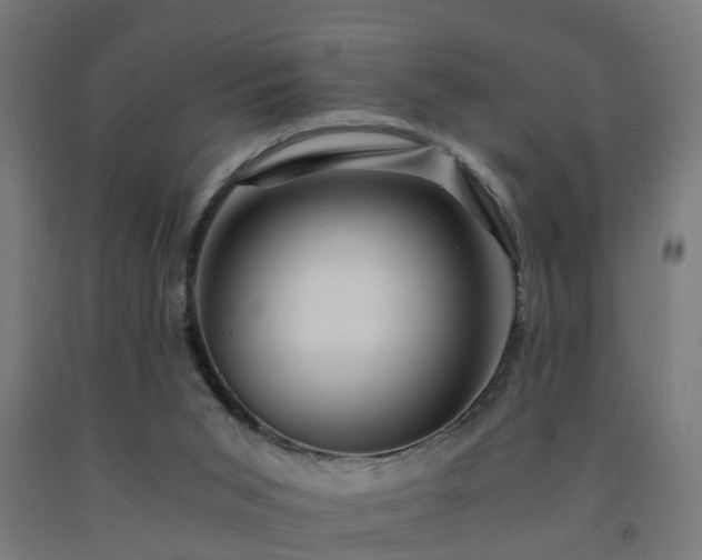 X0000093150015200709261455