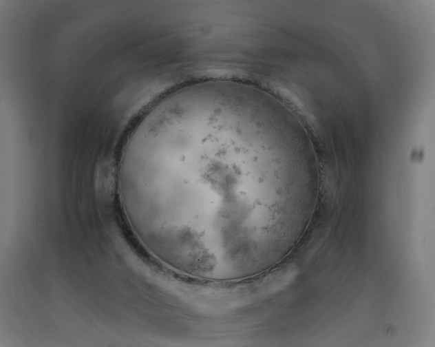 X0000093150016200709261455
