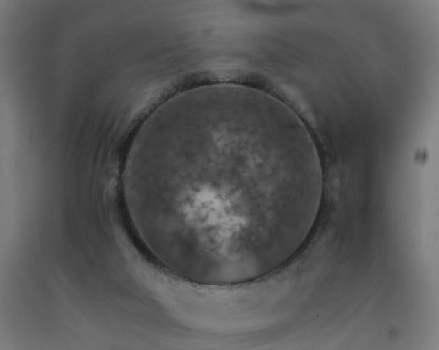 X0000093150018200709261455