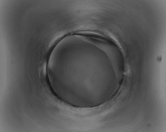 X0000093150019200709261455