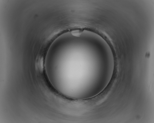 X0000093150020200709261455