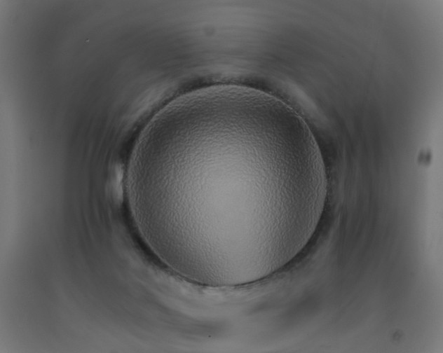 X0000093150022200709261455