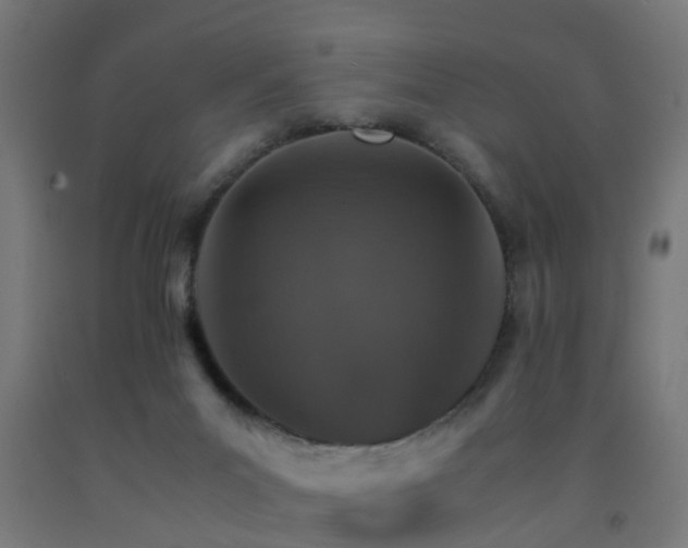 X0000093150023200709261455