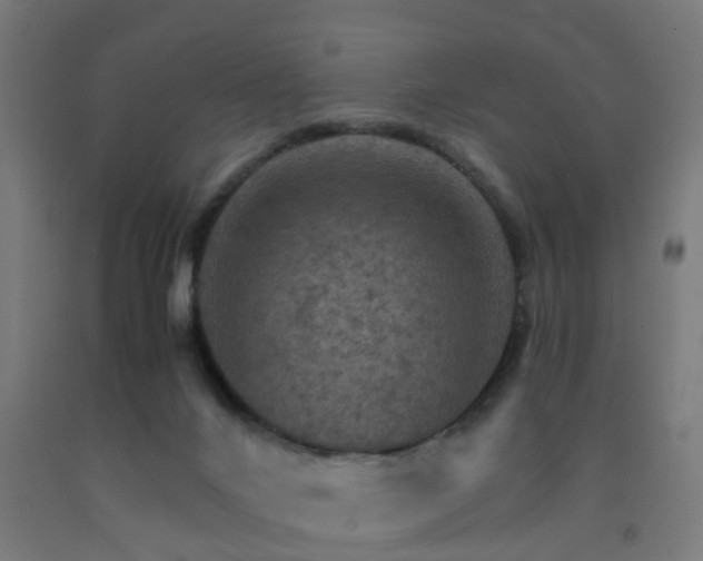 X0000093150024200709261455