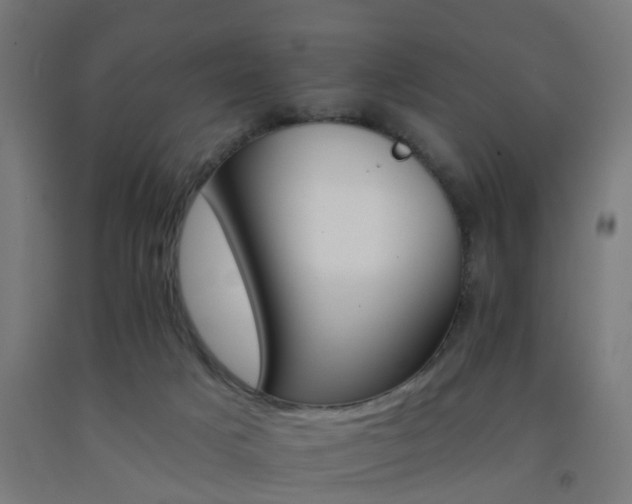 X0000093150025200709261455